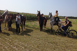 Ecuries Du Grand Chemin