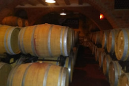 CURSO CATA DEL VINO