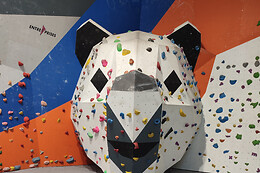 CMC Climbing Mulhouse Center
