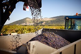 Domaine Escalin