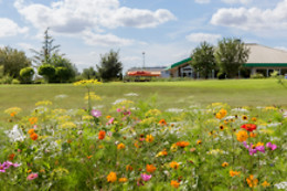 Ugolf Metz