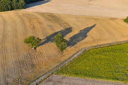 Art Montgolfières
