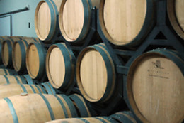 BODEGA EL MOSAICO DE BACO