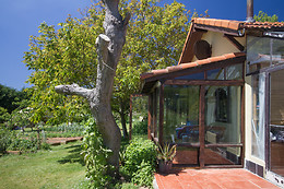 BIOSURF CAMP