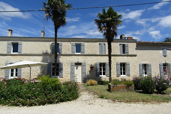 LES VIOLETTES DE MALLEVILLE - photo 0