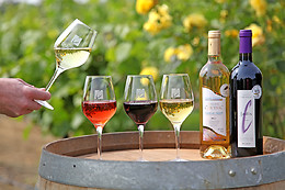 Domaine de Carcenac