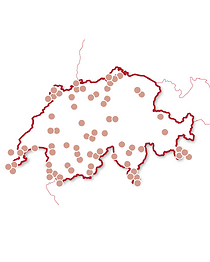 Innamorati in Svizzera