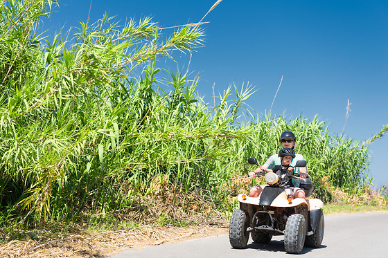 Off Road Quad - photo 1