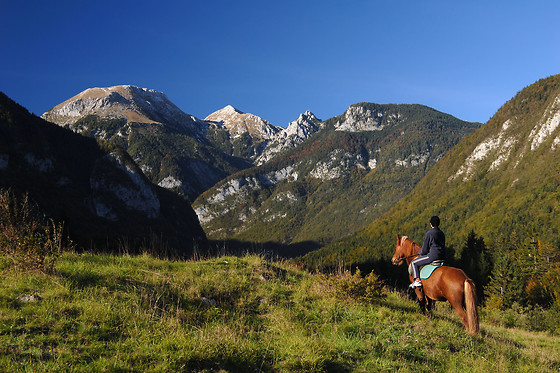 Centre Equestre les Onglous - photo 1