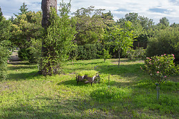 Les Vignes