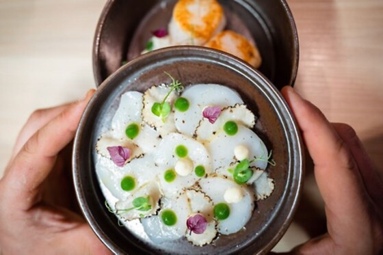Le Pâtanthrope - photo 1