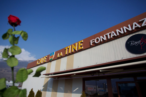 Cave la Tine - photo 2