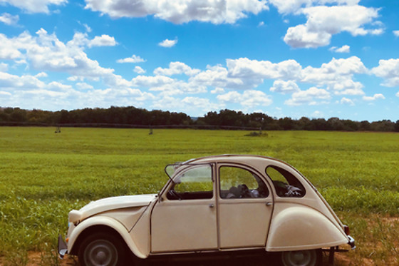 AGORASIM - photo 0