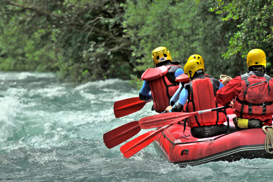 Arteka - photo 1