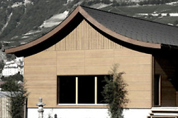 Swiss Dojo
