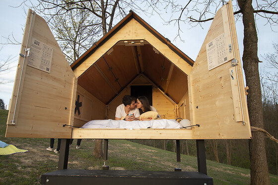 Tenuta Margherita - Il nido nel bosco - photo 6