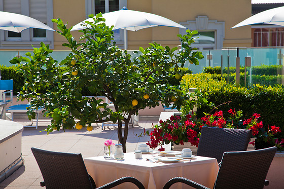 Hotel Delfino - photo 1