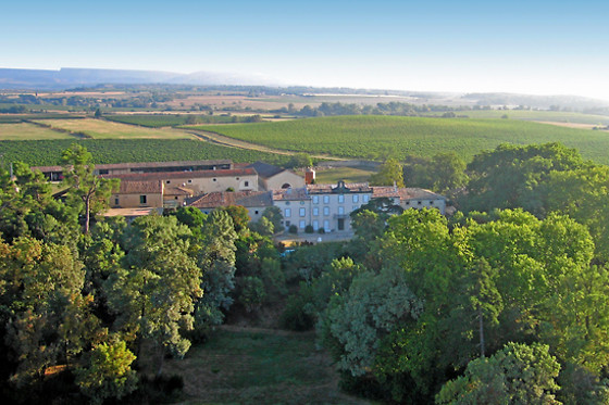 Château Auzias - photo 13