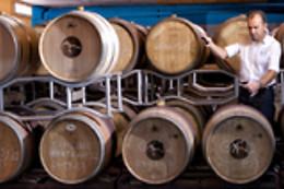 CELLERS BARONIA DEL MONTSANT