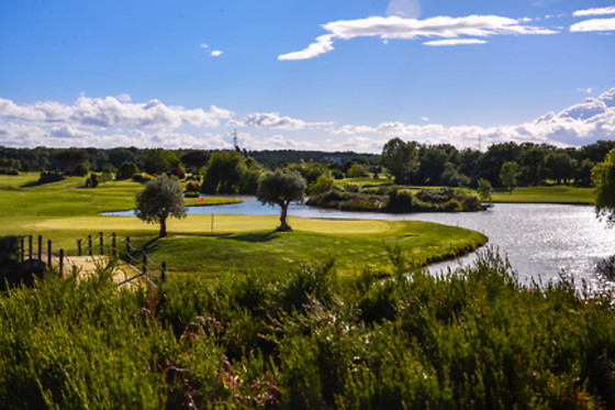 Ugolf Toulouse Seilh - photo 1