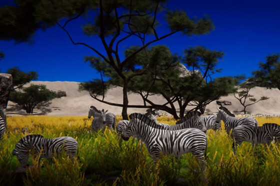 VIRTUAL ARENA - photo 13