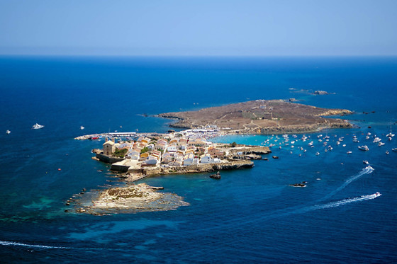 SCUBA ELX - photo 2