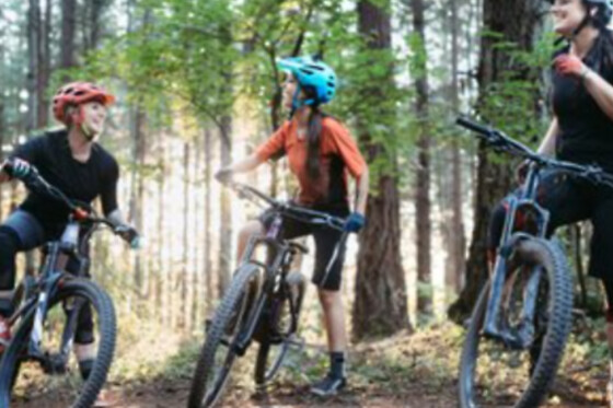 Bikes Adventure - photo 1
