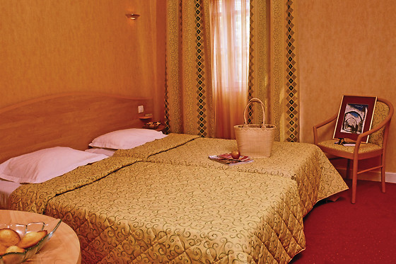 Best Western Hôtel Pont d'Or - photo 5