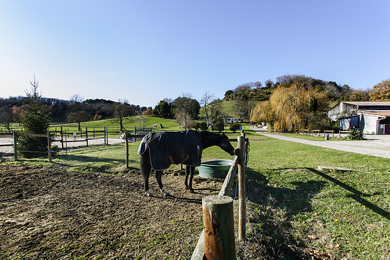 Domaine de la Trille - photo 8