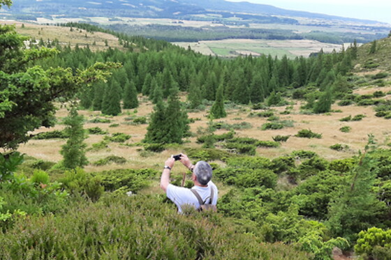 Azores Nature Tours - photo 17