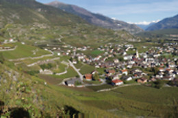 Franz Josef Mathier AG