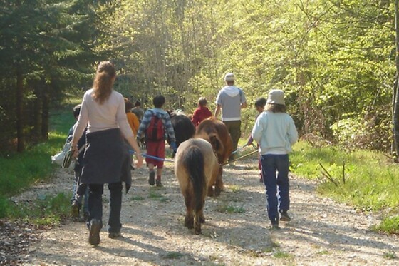 Ferme Le Bochet - photo 12