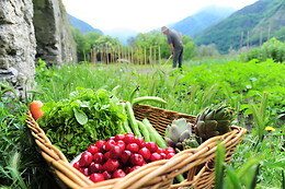 Ferme Le Bochet