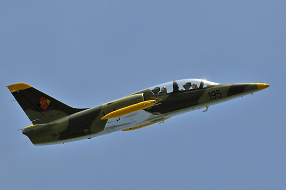 MiGFlug Switzerland - photo 6