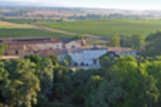 Château Auzias - photo 19