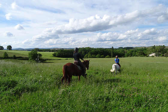 Un Poney, une histoire - photo 4