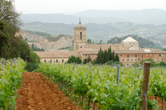 BODEGAS PAGO DE LARRAINZAR - photo 4