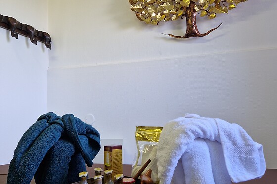 Thaitip Massage Istres et Martigues - photo 5