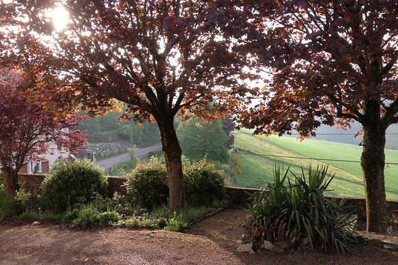 Spa & chambres d’hôtes Cnaturel - photo 21