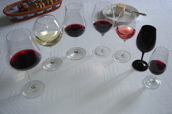 Domaine Brisson - photo 4