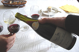 Domaine Brisson