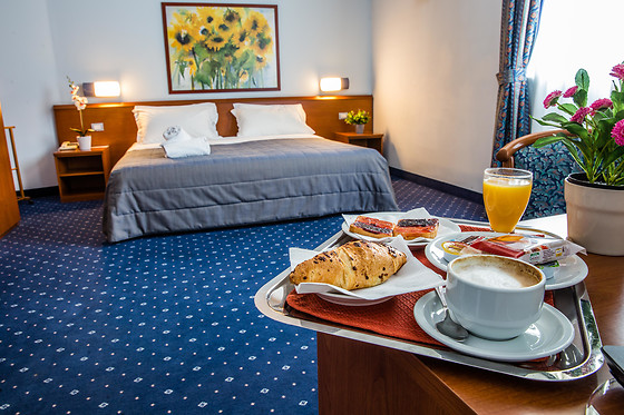 Hotel Glis - photo 1