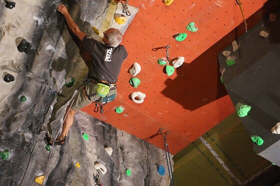 Gecko Escalade - photo 2