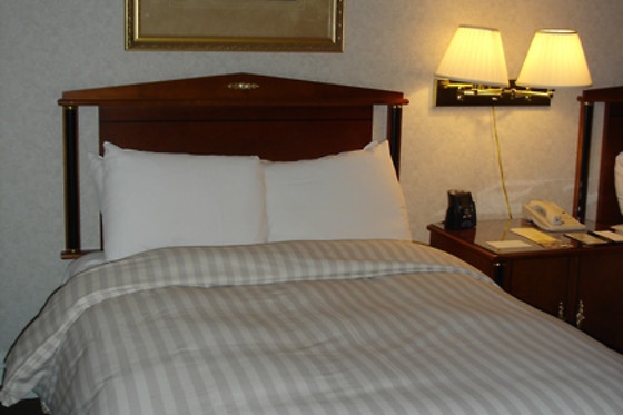 BARTHOLOMEU GUESTHOUSE - photo 4