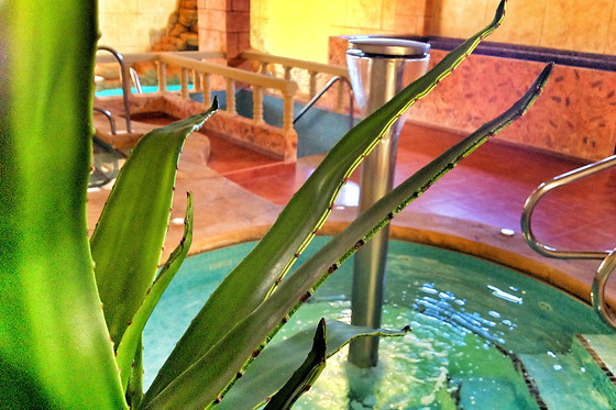 LOHEGA BALNEARIO URBANO - photo 5