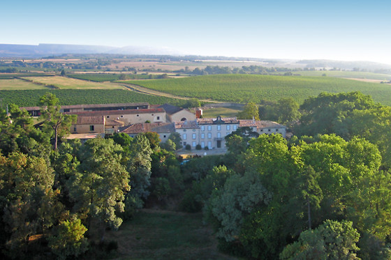 Château Auzias - photo 12