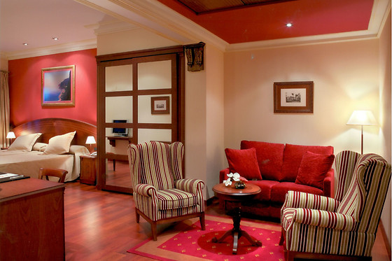 HOTEL PALACIO DE LA MAGDALENA - photo 27