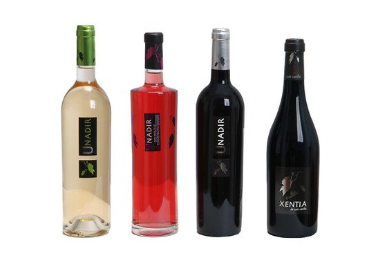PAGO DE LAS ENCOMIENDAS VIÑEDOS Y BODEGAS - photo 4