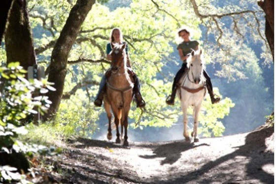Centre Equestre les Onglous - photo 0