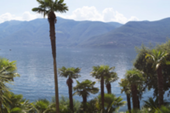 Hotel Garni Rivabella au Lac - photo 4